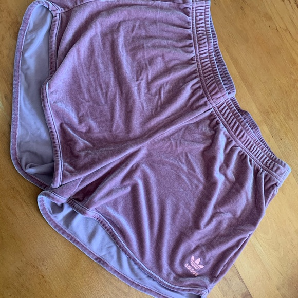 velvet adidas shorts